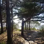 Osia Osia Royal パランガ